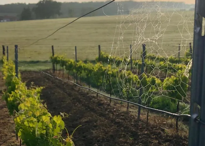 Lägenhet La Maisonnette, Elegant Couple's Retreat *