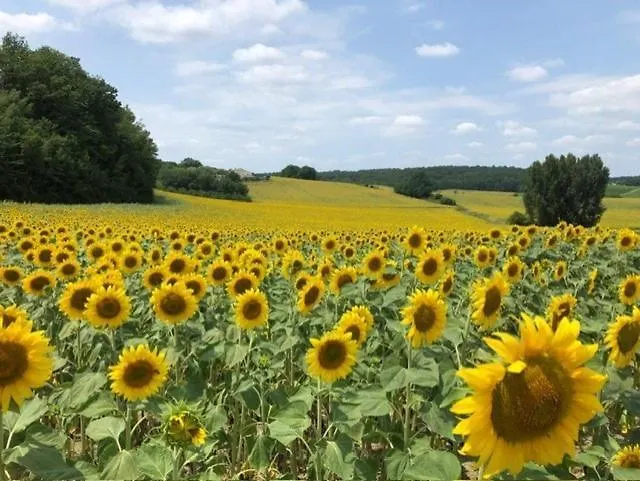 La Maisonnette, Elegant Couple's Retreat